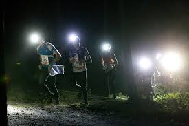 Competitors orienteering at nightfall.