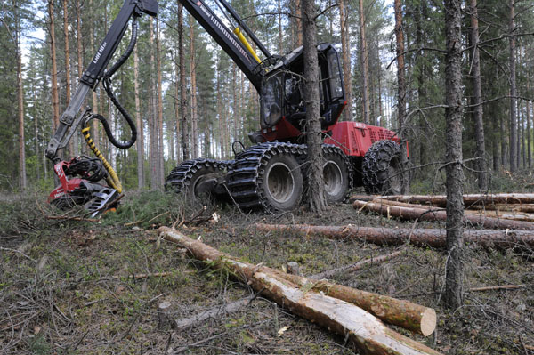 The forest relationship in Finland – Elävän perinnön wikiluettelo
