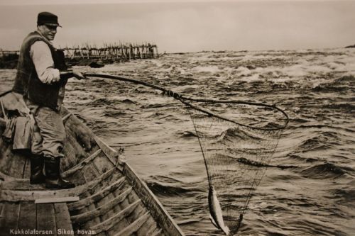 Kalastaja on saanut lippoon kalan.