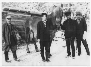 Black and white picture of men holding a horse and looking at the camera.
