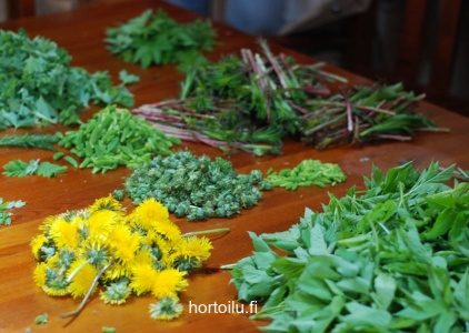 Piles of wild vegetables on a table.