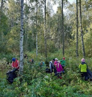 ihmisiä torjumassa vieraslajeja