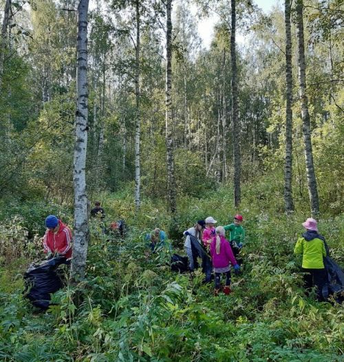 ihmisiä torjumassa vieraslajeja