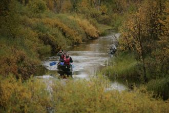Two people kayaking in a narrow stream.