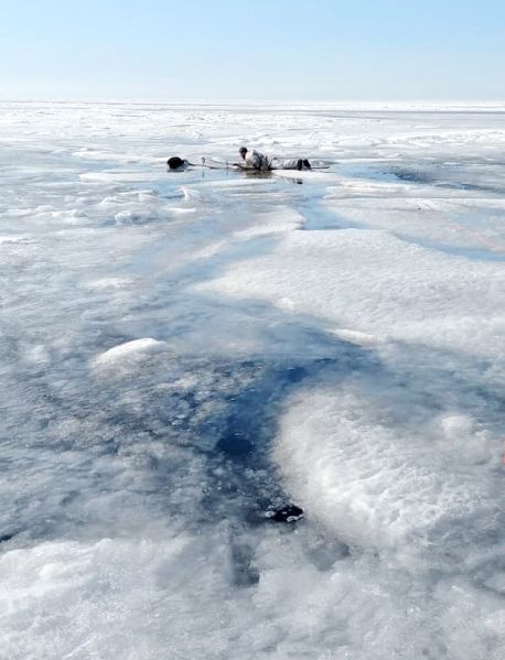 Tiedosto:Saaliin noutaminen Toni Peltoniemi 2019.jpg