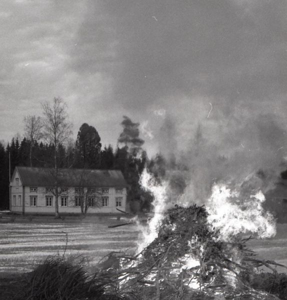 Tiedosto:Kokko! Janne.jpg