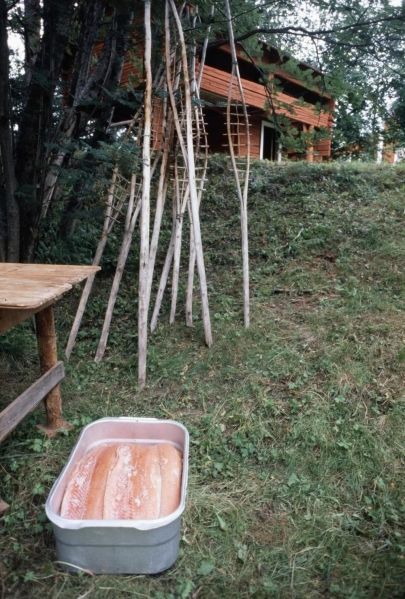 Tiedosto:1 Lohet astiassa.jpg