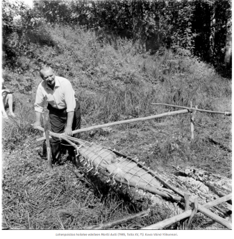mustavalkoinen valokuva, jossa martti autti paistaa varraslohta.