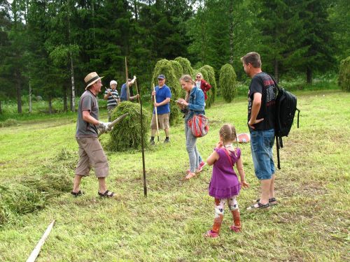 Aikuisia ja lapsia heinättämässä.