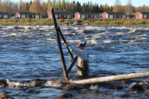 Sillanpurkaja vyötäröön asti joessa.