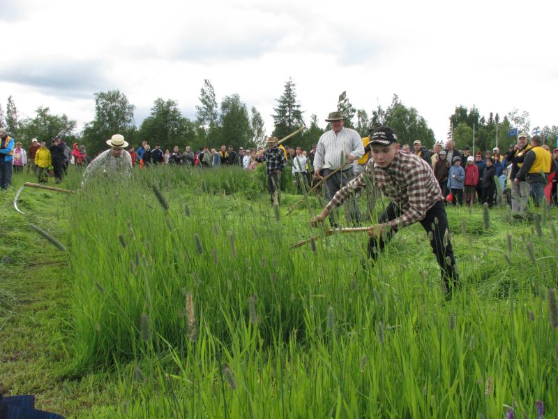 Tiedosto:MM niitot 2009 2.JPG