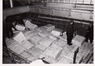 Black and white picture of tens of cellulose bales.