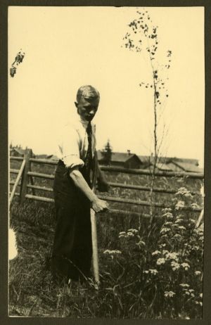 Vanha valokuva miehestä niittämästä heinää viikatteella.