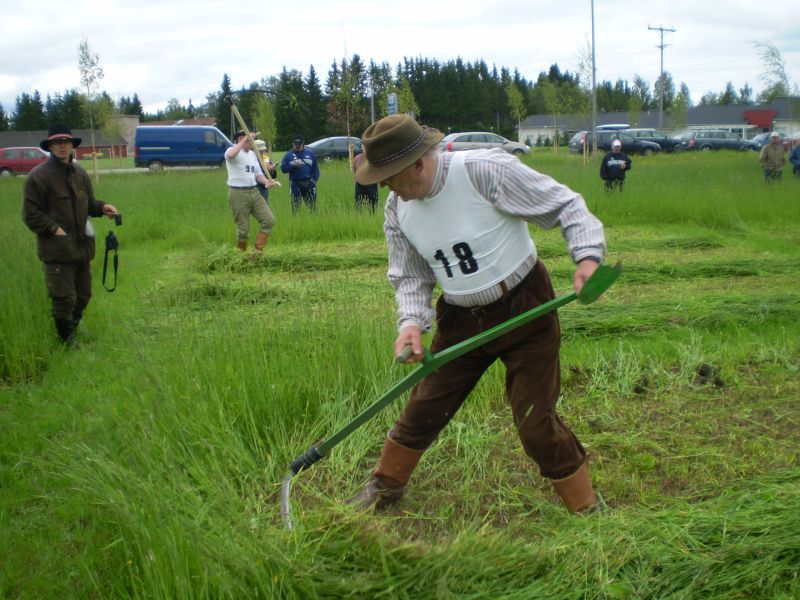 Tiedosto:MM niitot 2008 .JPG