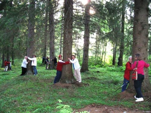 Ihmiset halaavat puuta