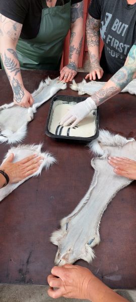 Tiedosto:Poron koipinahkojen aivoparkitusta.jpeg