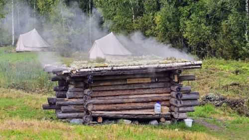 Low sauna building made from logs.