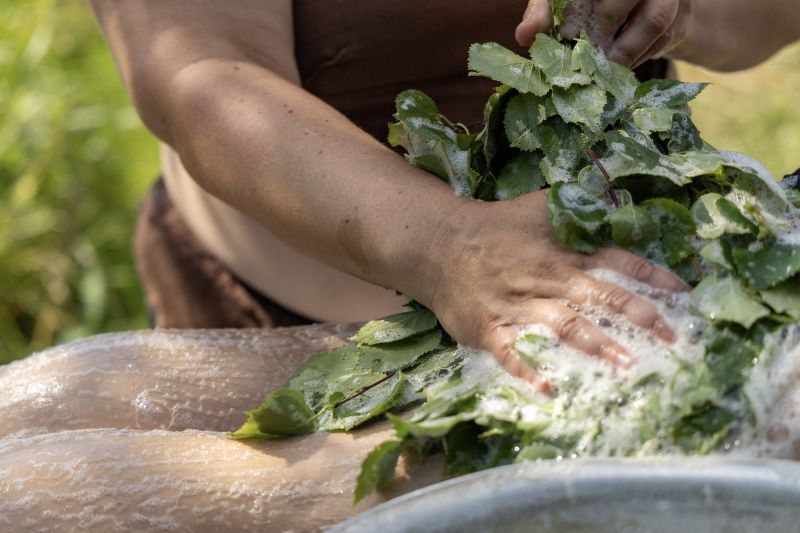 Tiedosto:Vihtapesu, kuvaaja Mari Niutanen.jpg