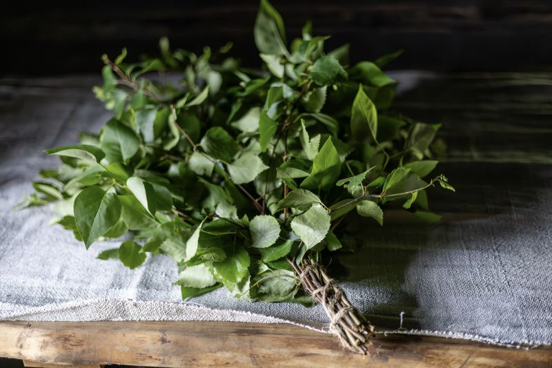 Tiedosto:Satalatva, kuvaaja Mari Niutanen.jpg