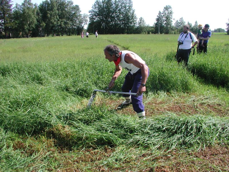 Tiedosto:MM niitot 2004 1.JPG