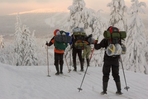 Takaapäin otettu kuva kolmesta hiihtäjästä rinkat selässään.